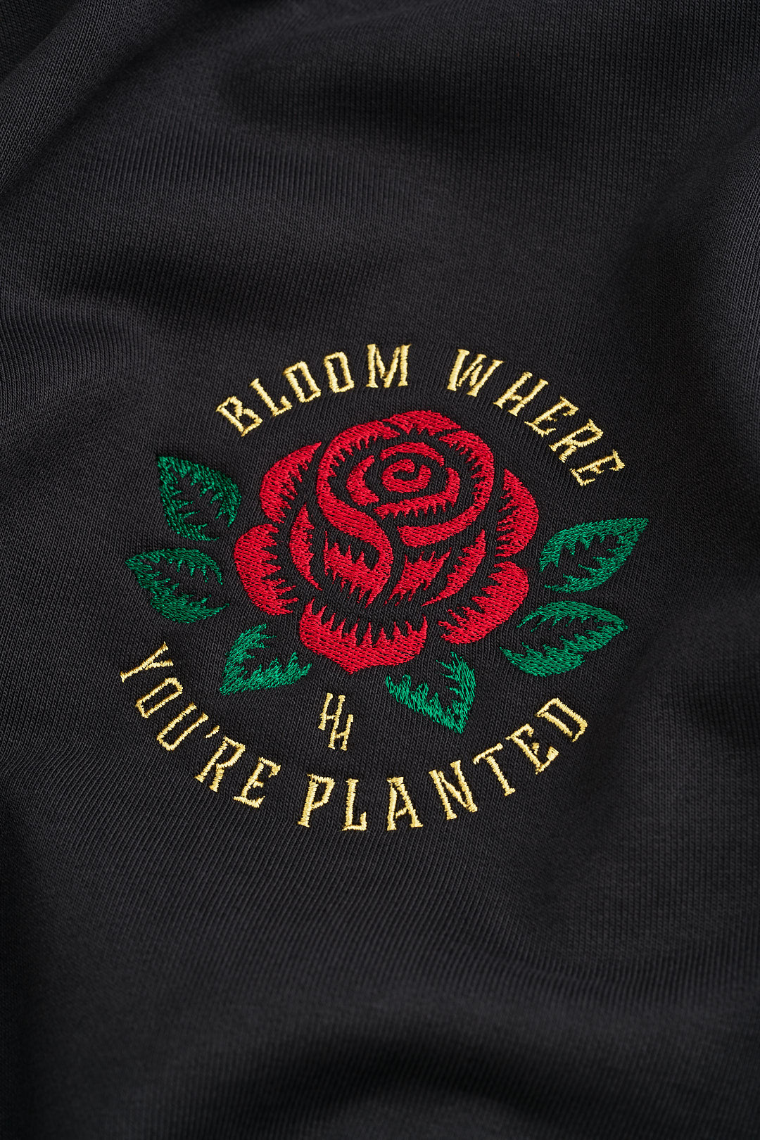 BLOOM WHERE YOU'RE PLANTED